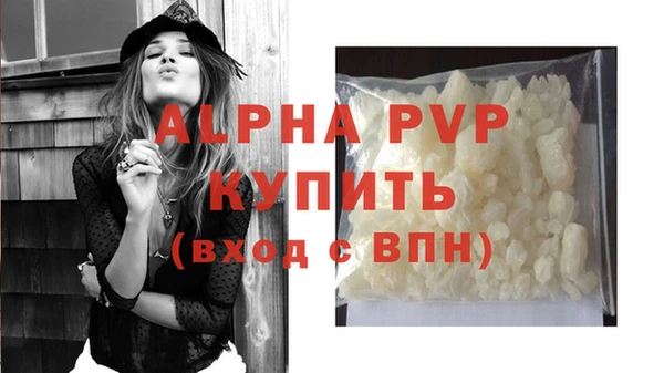дмт Белокуриха