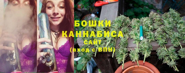 дмт Белокуриха