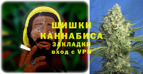 дмт Белокуриха
