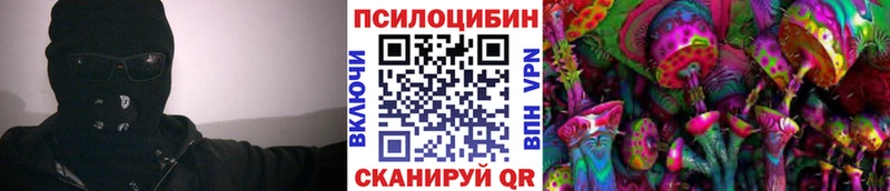 где купить наркоту  Кушва  Галлюциногенные грибы Psilocybine cubensis 